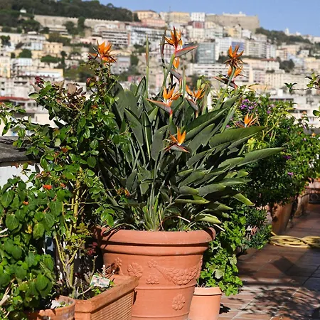 לינה וארוחת בוקר Casamiranapoli 4*