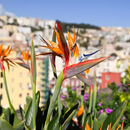 Casamiranapoli Napels