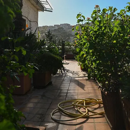 Casamiranapoli