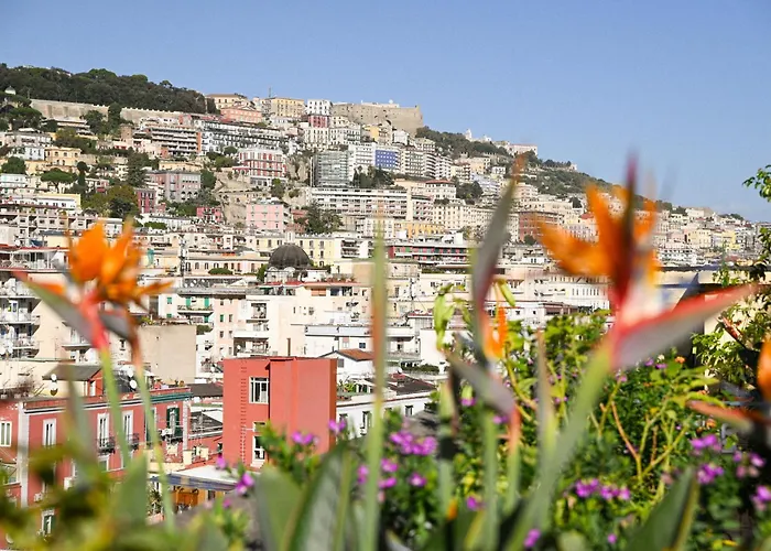 Casamiranapoli *